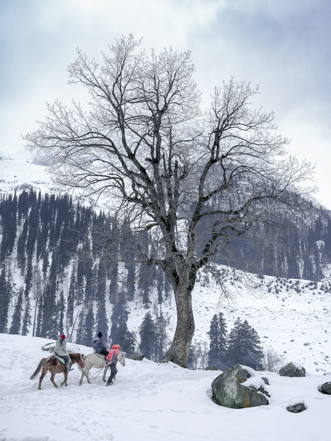 a-group-of-people-riding-horses-through-the-snow-eymrznguj9o